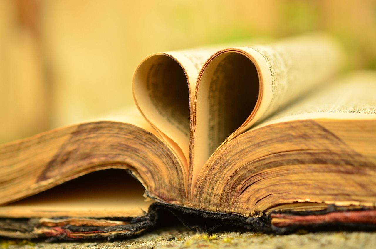 a book, bible, old-897834.jpg