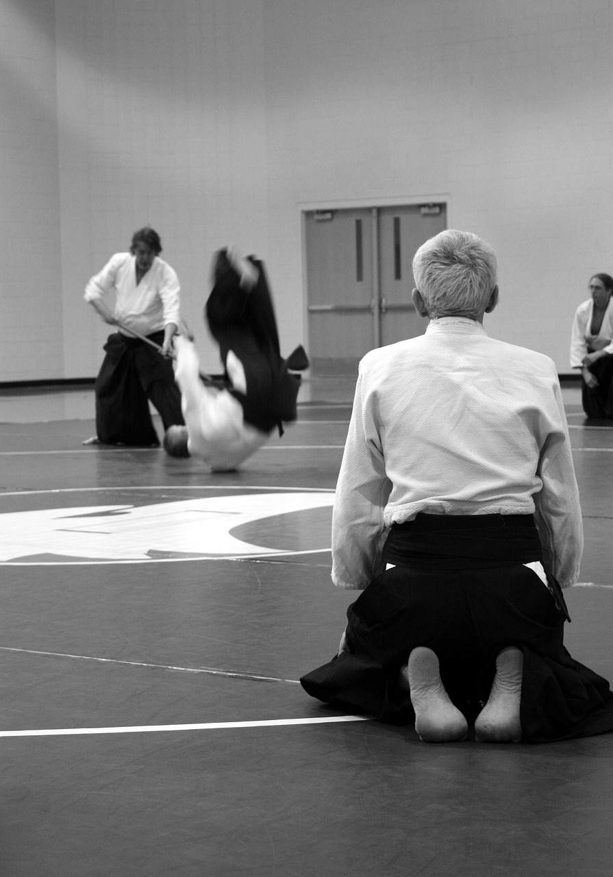 aikido, martial arts, self-defense-362951.jpg