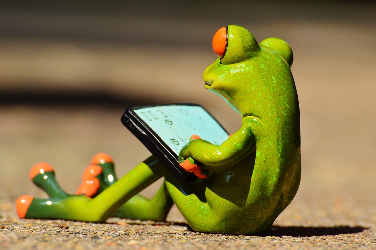 frog, computer, fun-881661.jpg