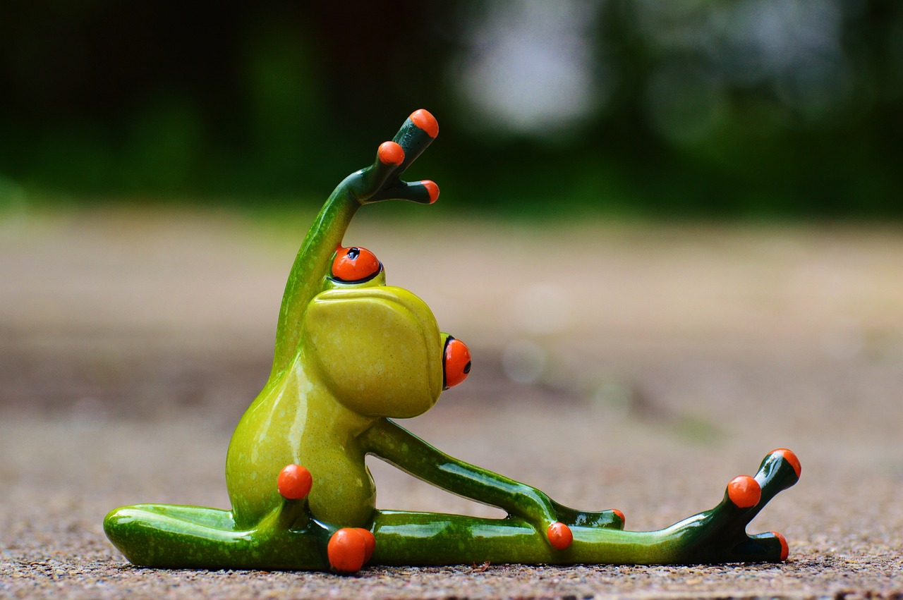 sports, gymnastics, frog-927759.jpg